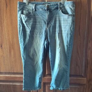 d. jeans Knee Length Size 16W
